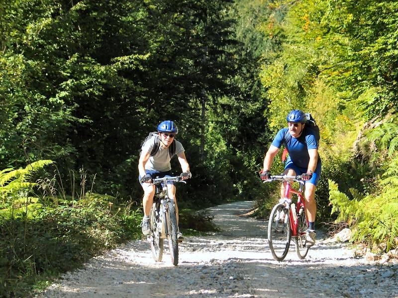 Apartments Bohinj Mavrica Kültér fotó
